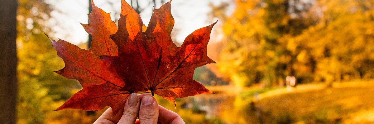 Parrainage au Canada : Comment faire venir vos proches rapidement